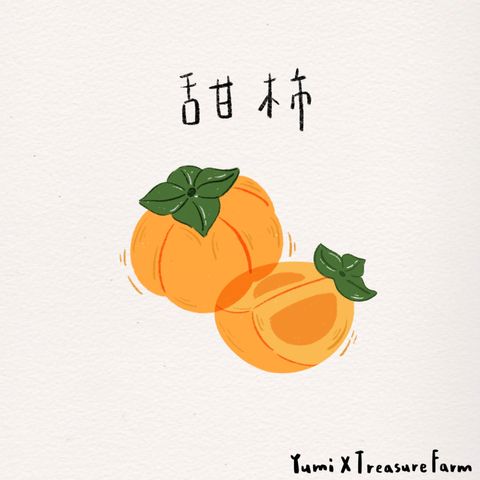 2_甜柿