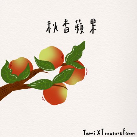 11_秋香蘋果