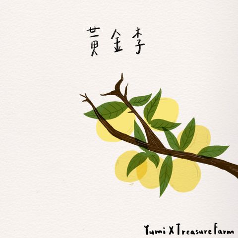 5_黃金李