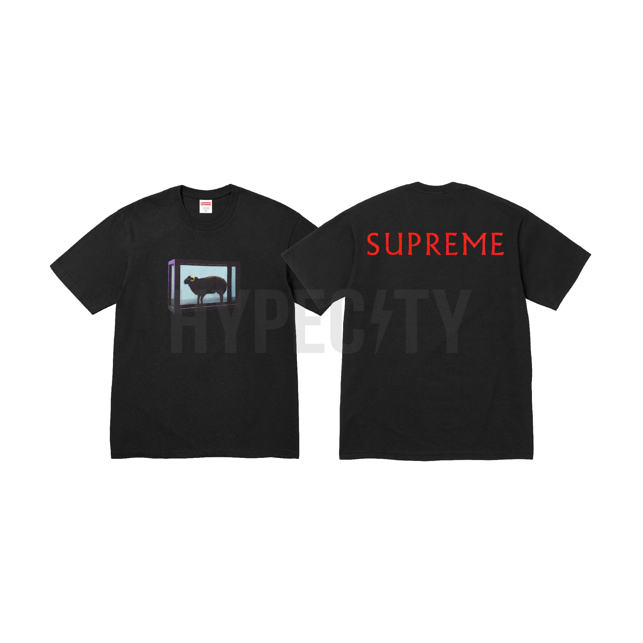 Supreme / Damien Hirst Tee – HYPECITY Supreme / Damien Hirst Tee – HYPECITY