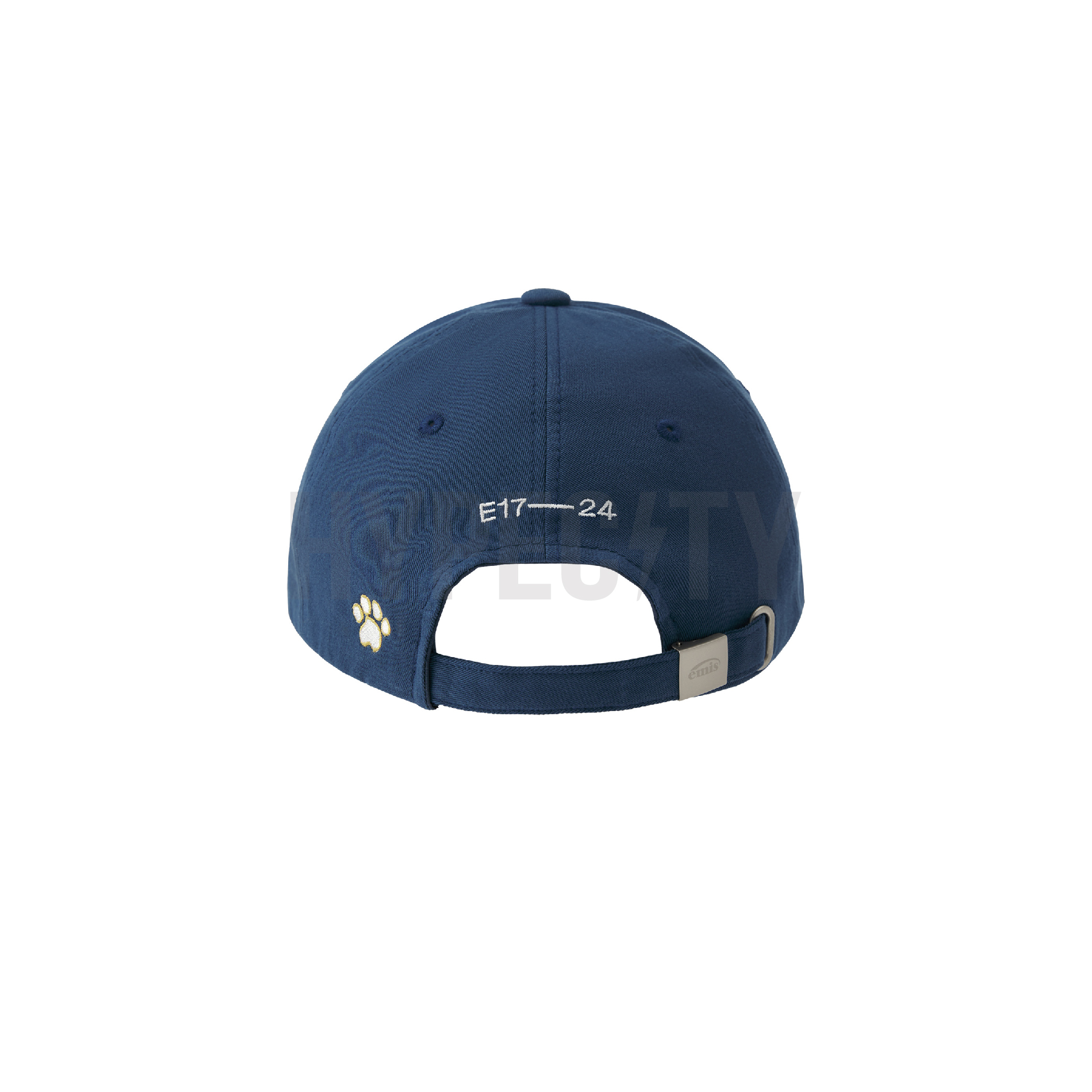 18.02.25 Emis Cap-04