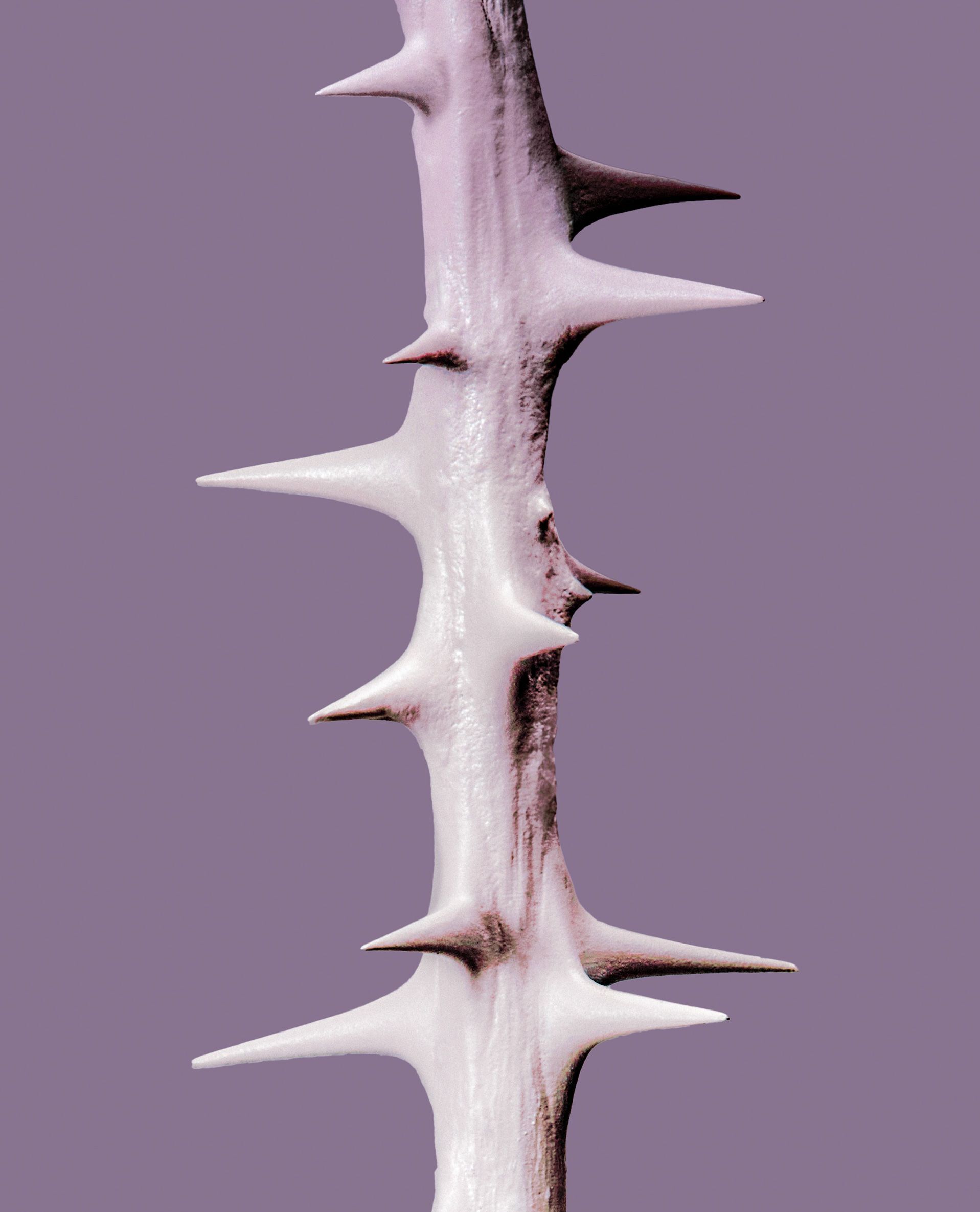 Thumbnail03_Evening-Glow_frg