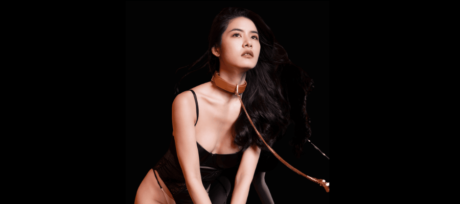 SM項圈產品示意圖