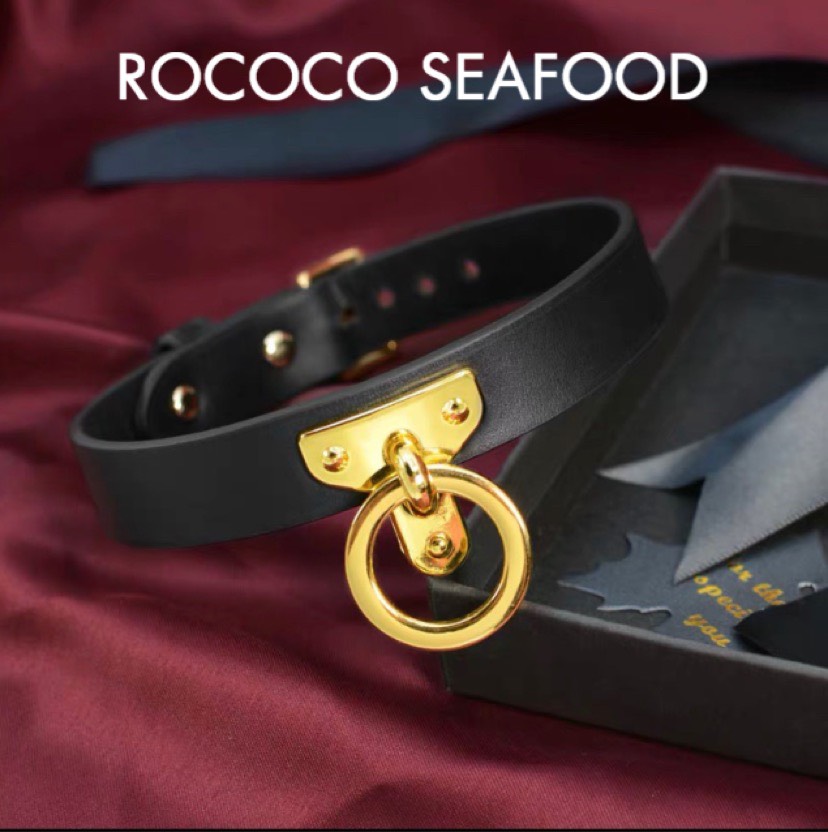 項圈 項鍊 項圈 項鍊