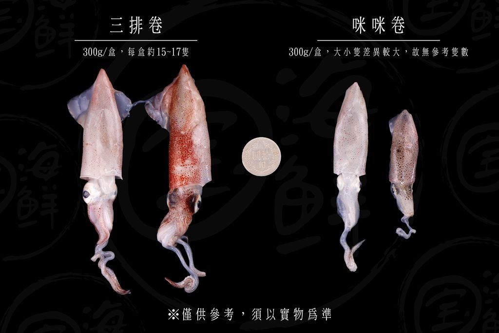 基隆盒卷大小參考