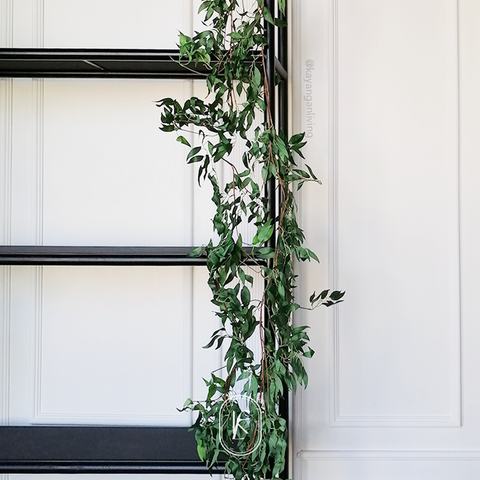 DAUN 1.png
