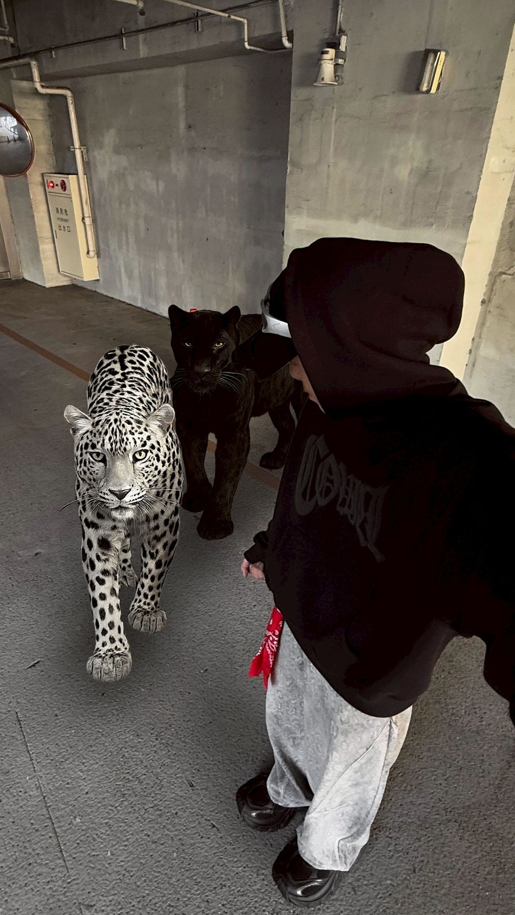 LINE_NOTE_251204_100