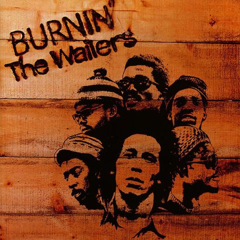 81rLUcp+TOL._SL1200_