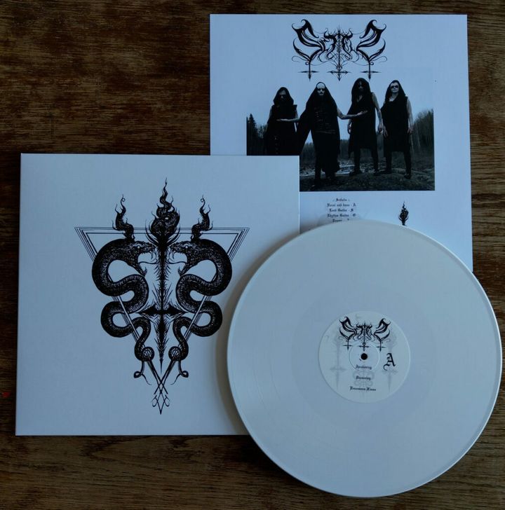 scitalis-1013x1024.jpeg