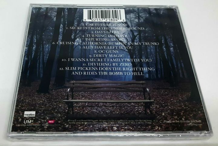 the-offspring-days-go-by-back-1024x687.jpeg
