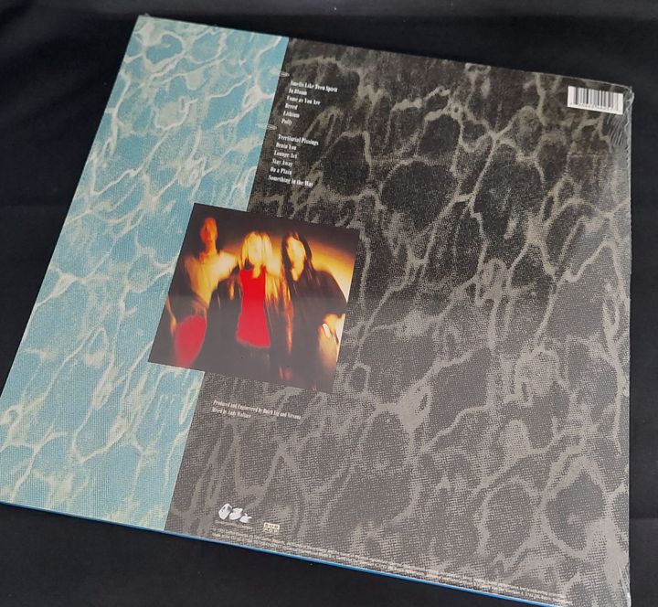 nirvana-nvm-back.jpg