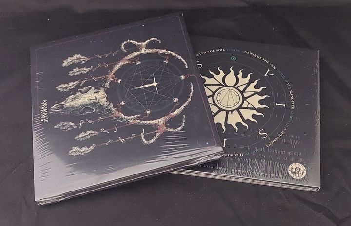 anomalie-vision