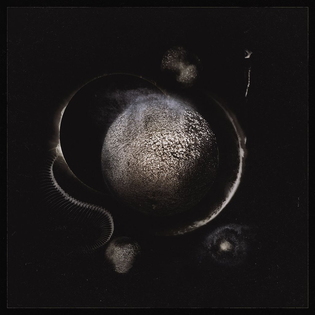 a0190295903_10