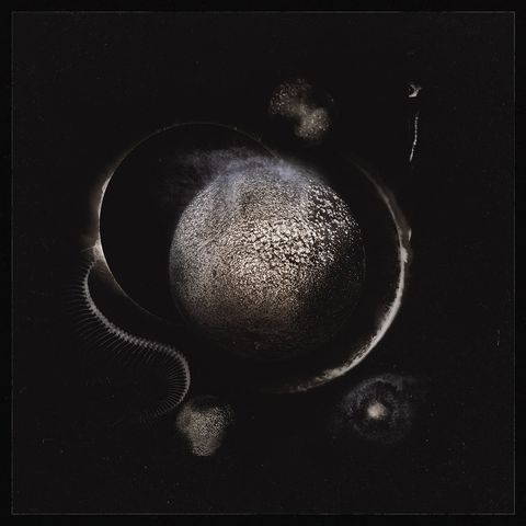 a0190295903_10
