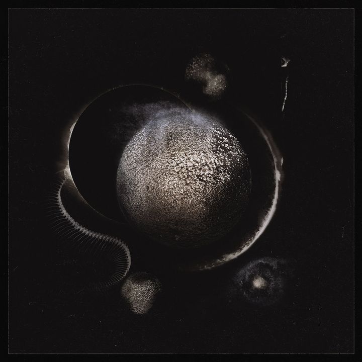 a0190295903_10
