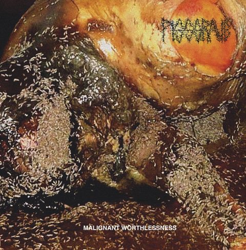 malignant_cover800