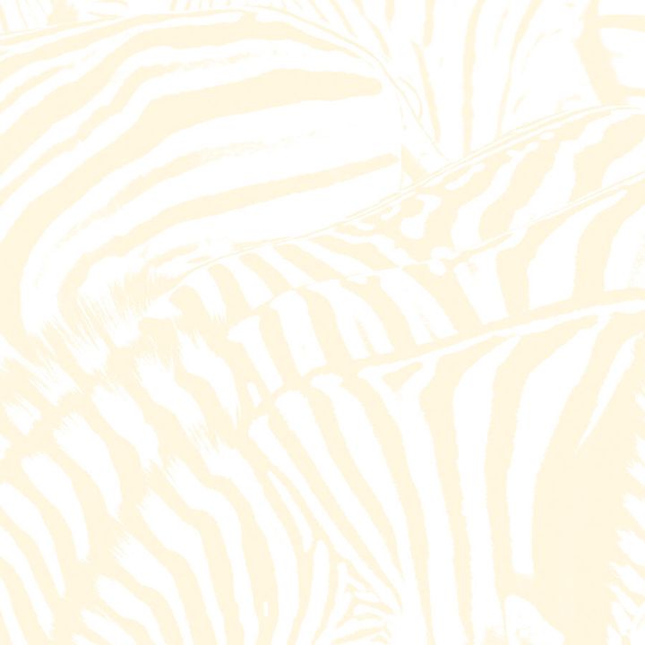 a0485680676_10