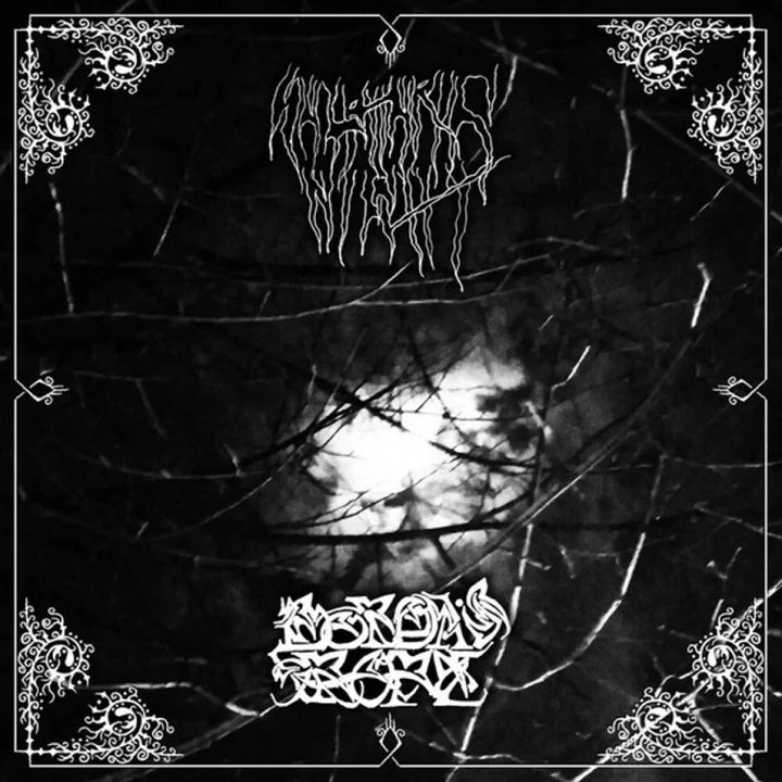 Sulphuric Night - Borda's Rope – Sulphuric Night - Borda's Rope-1000x1000
