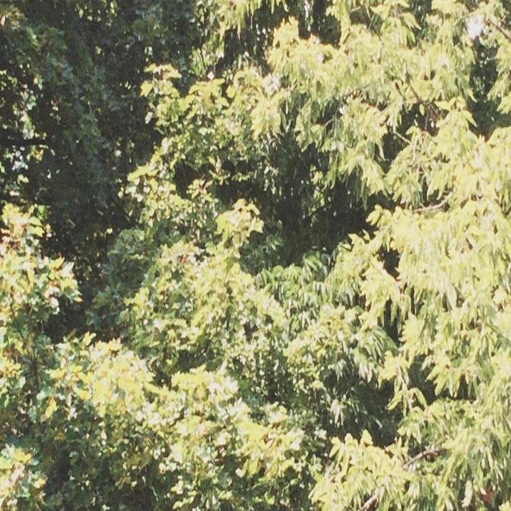 a0667265189_10