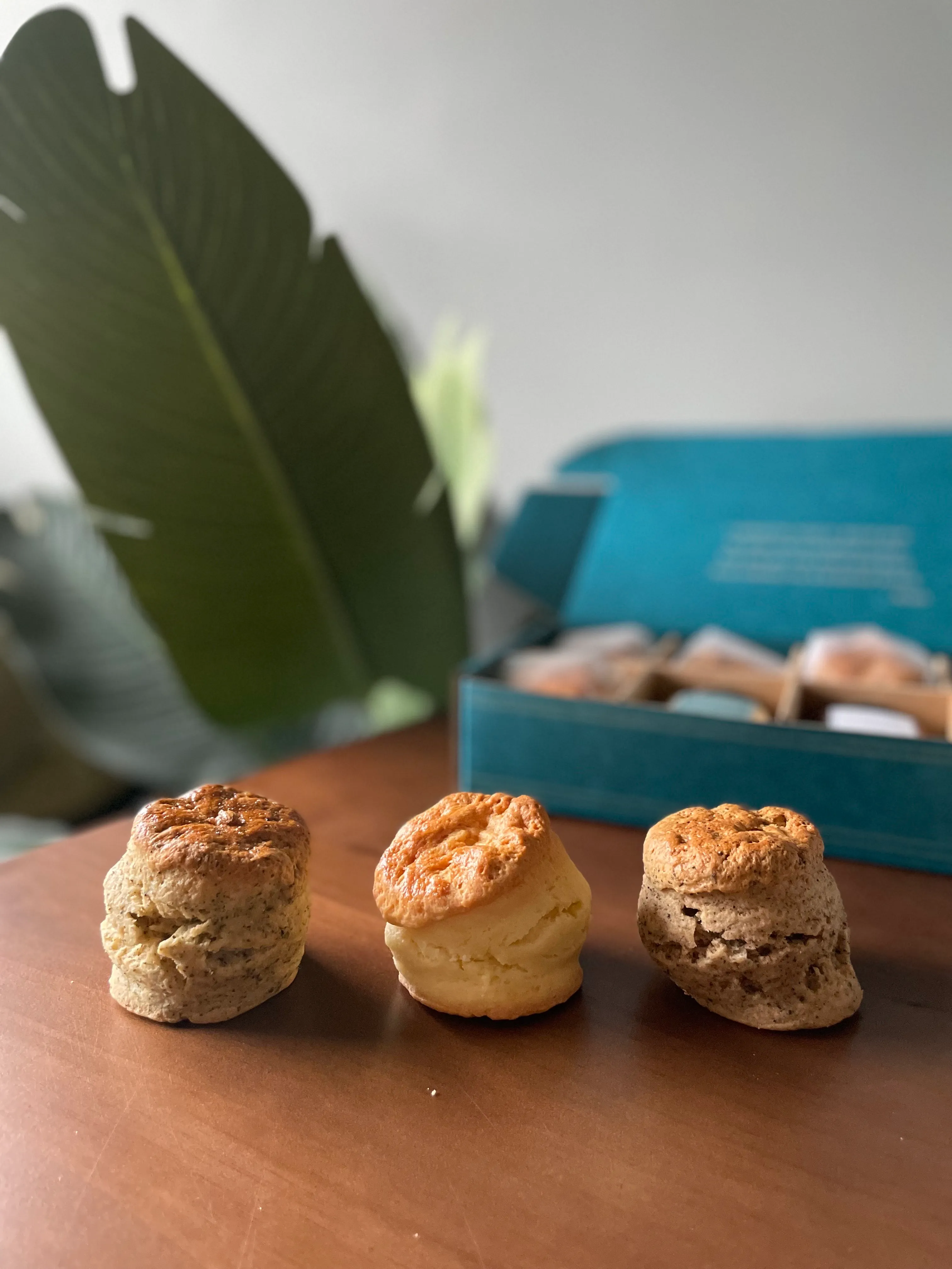 B2E7B38D-321E-48E1-BF83-21A55F202AA7