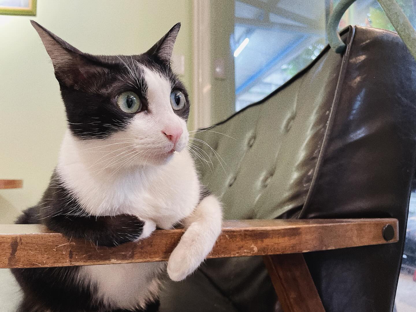 513857347_18052618748616160_4044563084131904018_n