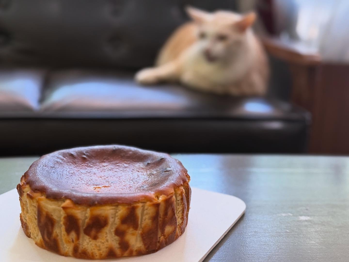 528320809_18057419576616160_4134683835845614319_n