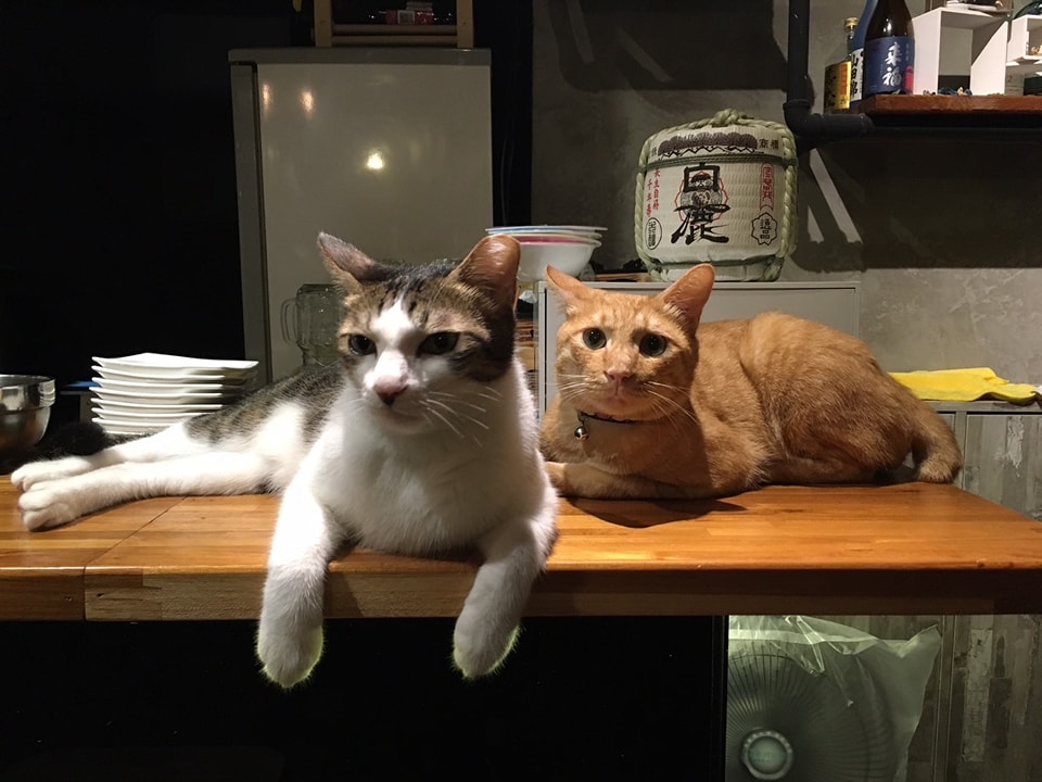 474449406_1105974241230555_8899843590659660879_n