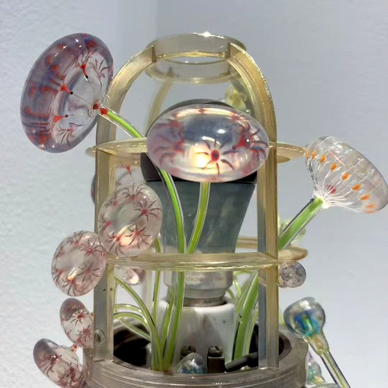 3D 全彩 1