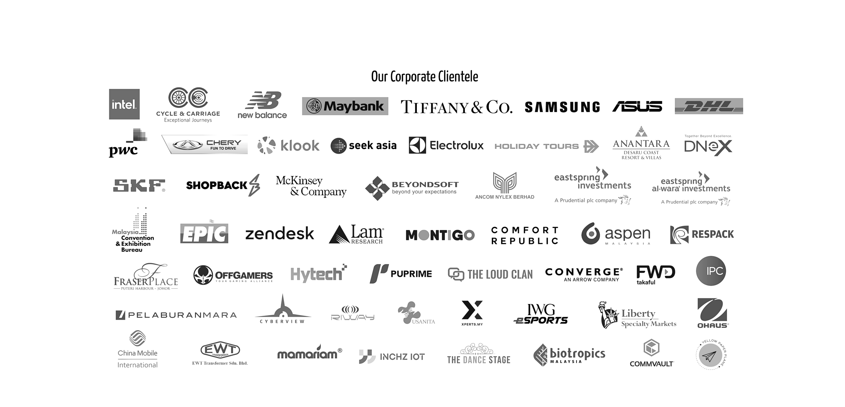 https://cdn.store-assets.com/s/717990/f/11086948.png
