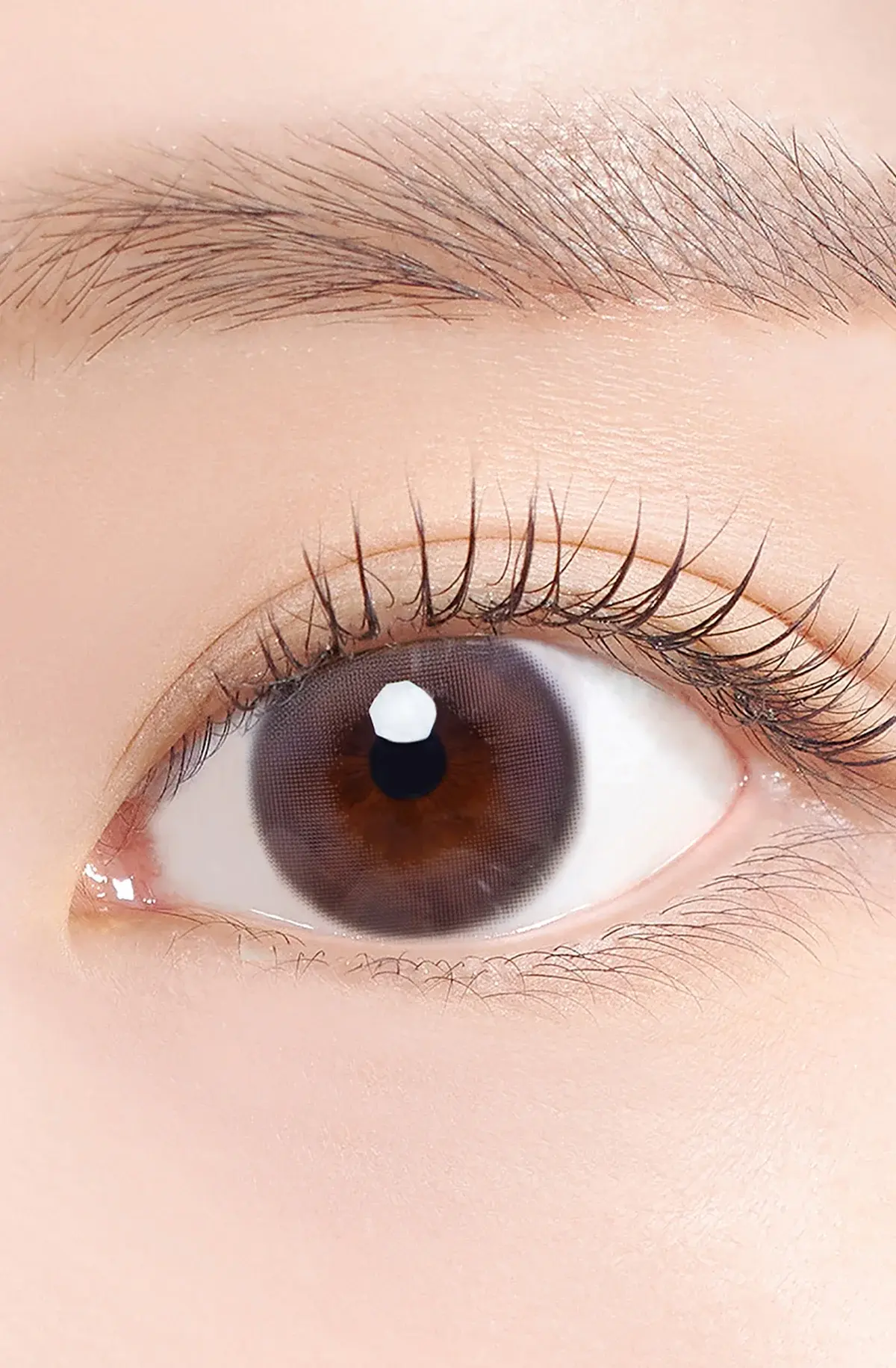 02_d93ed361-92d1-4f99-b665-bf361590fb19