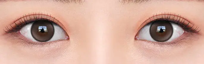 0bdabf8b-d365-49db-ad16-c8ba0be18e3e글로이티어 브라운