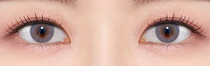 db544446-ce5f-4bdd-8c80-e91b7415085d프렌치샤인 라벤더