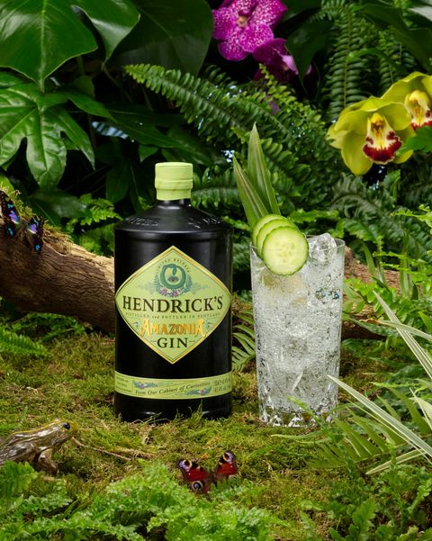 Hendricks-Amazonia-Gin-and-Tonic--scaled.jpg