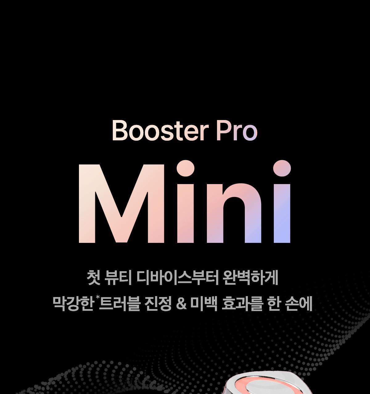 241118_pro_mini01_01