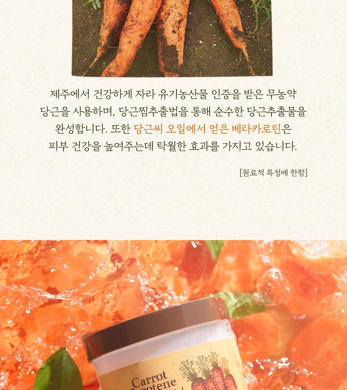 oy_carrotpad_page_2512(10)