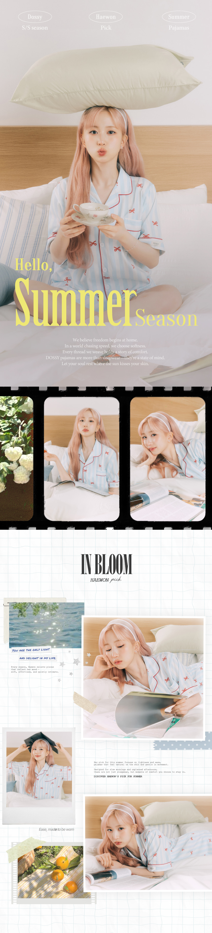 bownie_intro