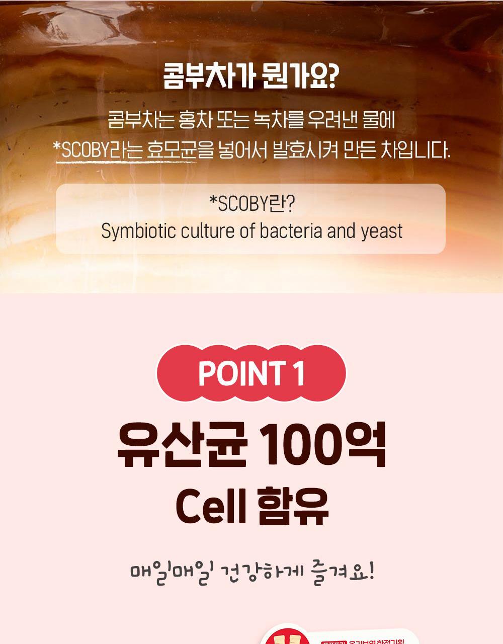 25_요구르트콤부차상세내용