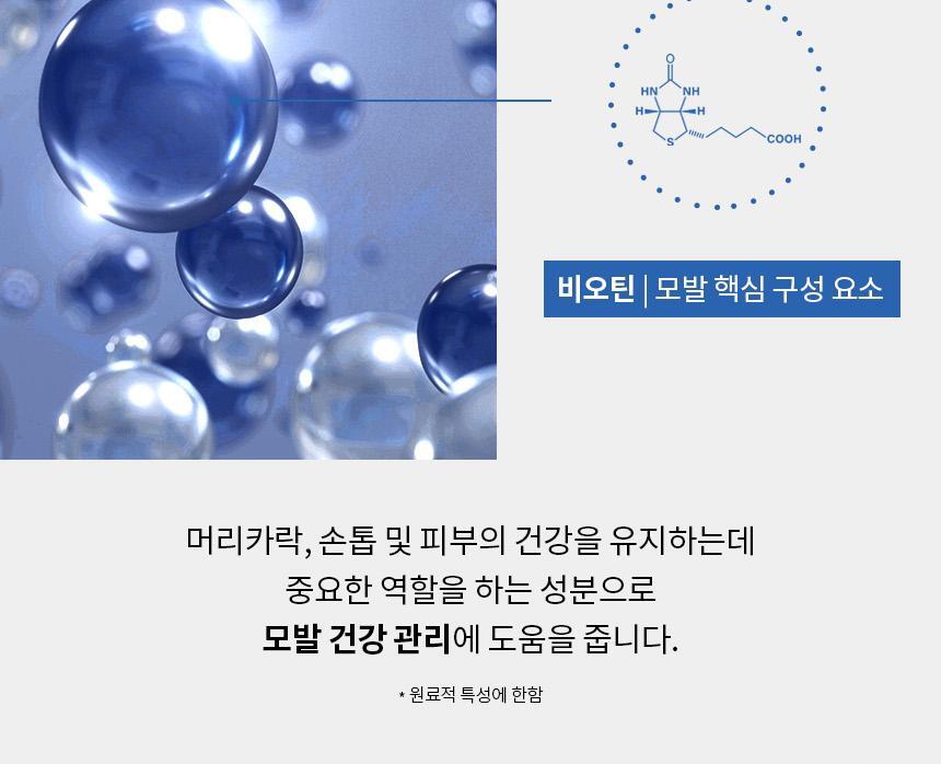 BP7_SHAMPOO550_16(1)