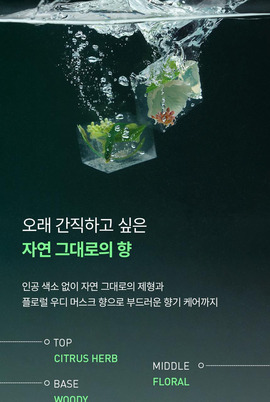 4_SHAMPOO500_40