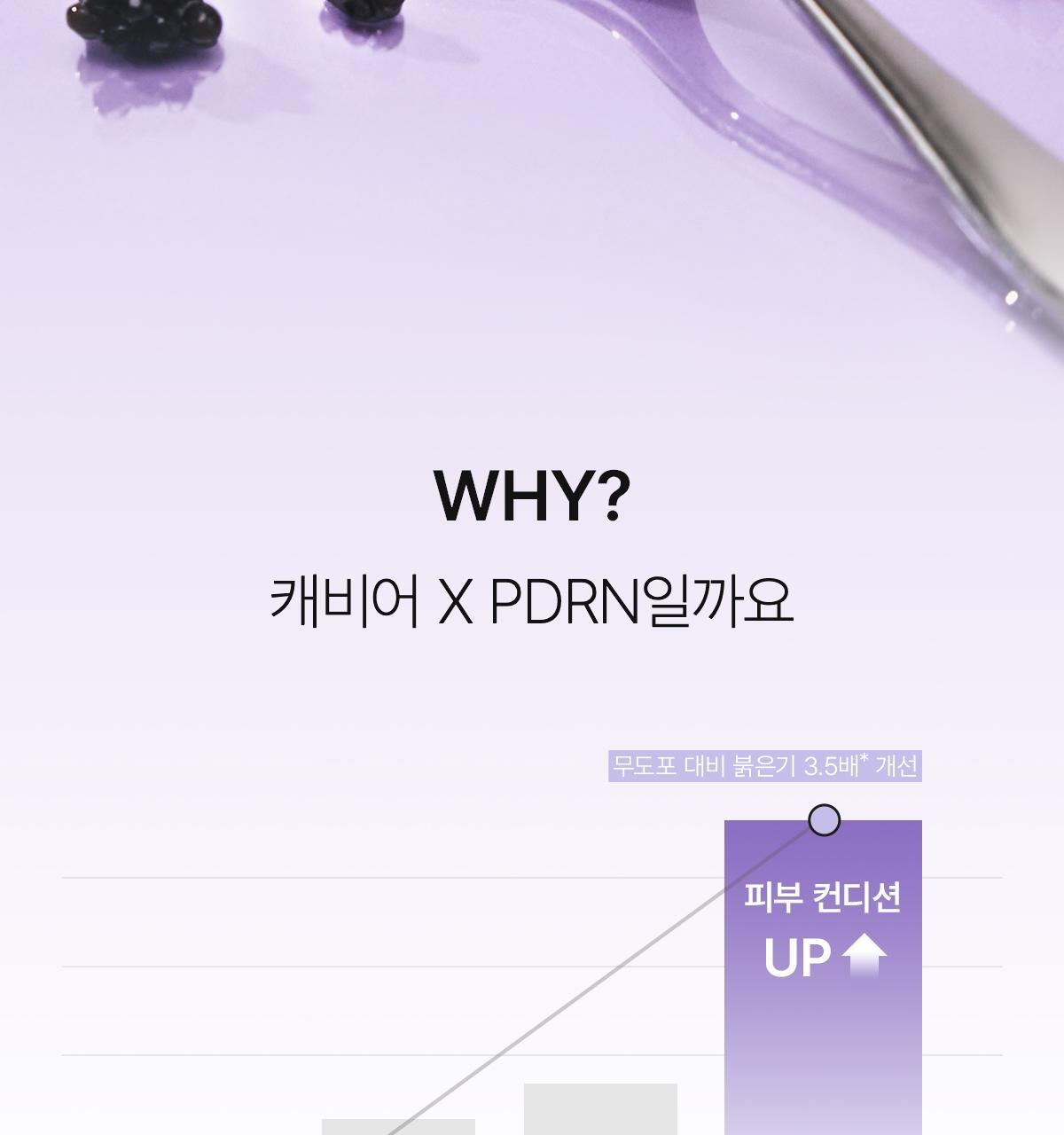 pdrn_02(1)