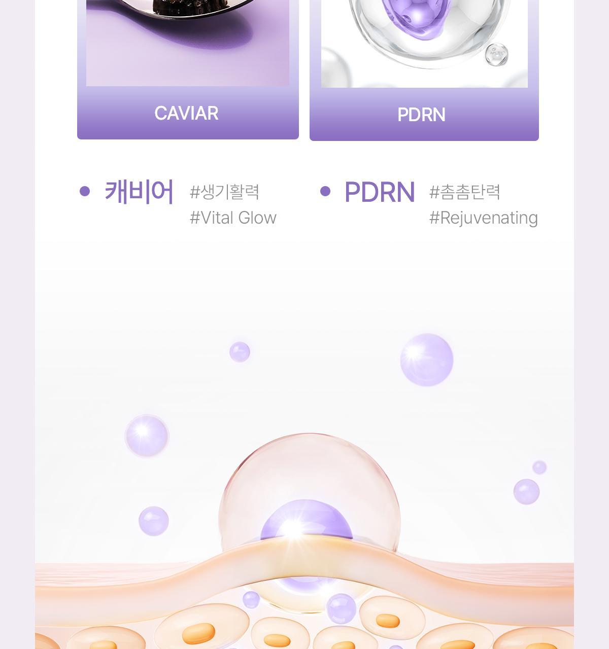 pdrn_02(7)