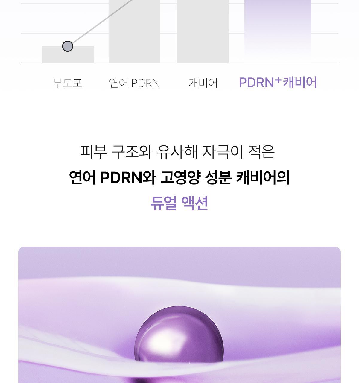 pdrn_02(2)