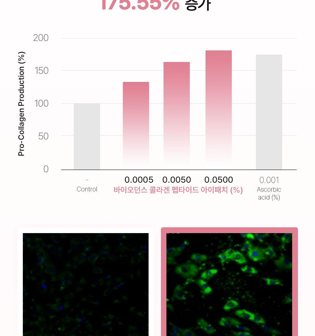 collagen_02(4)