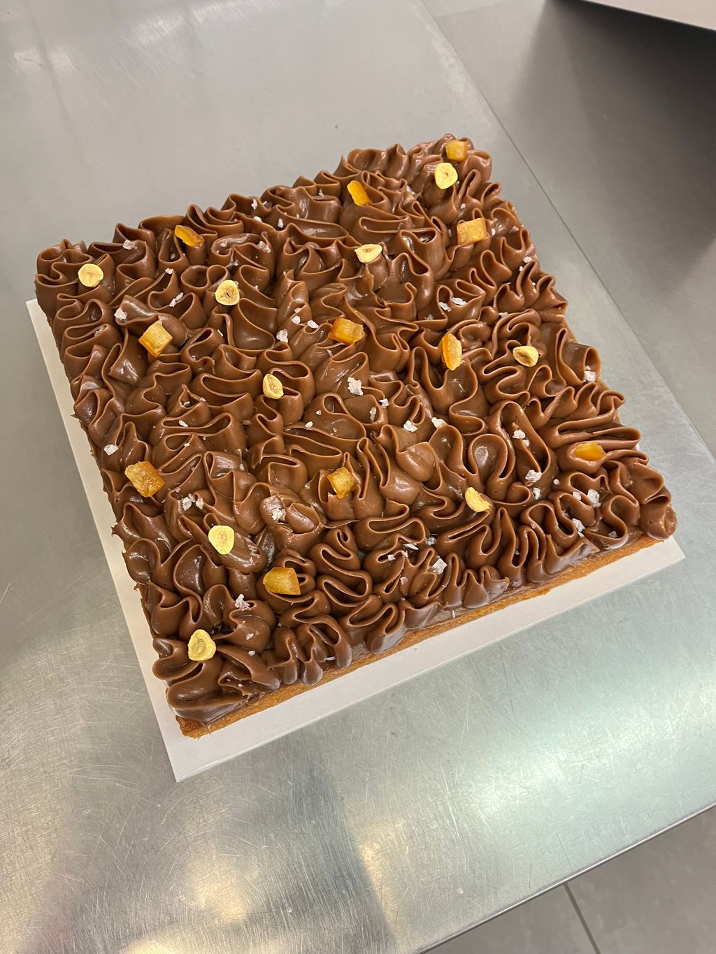 image_8795CF9D-A266-47C2-BDAA-C56812F35C14_1774340963