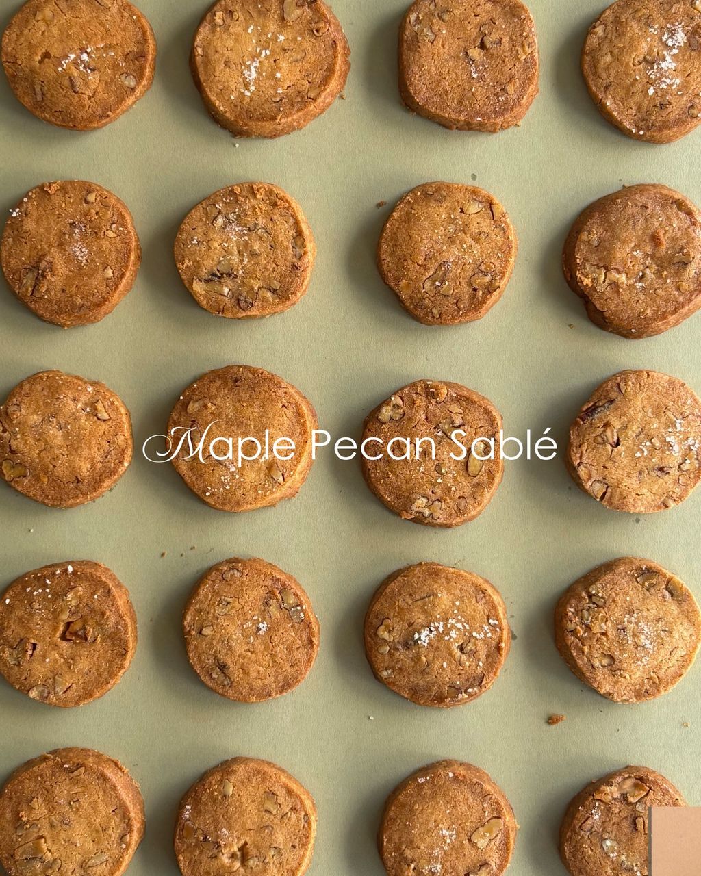 image_868093FA-2D81-49FF-BAF2-7BE86DABA967_1770304566