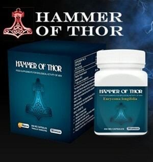 hammer-of-thor-small3.jpg