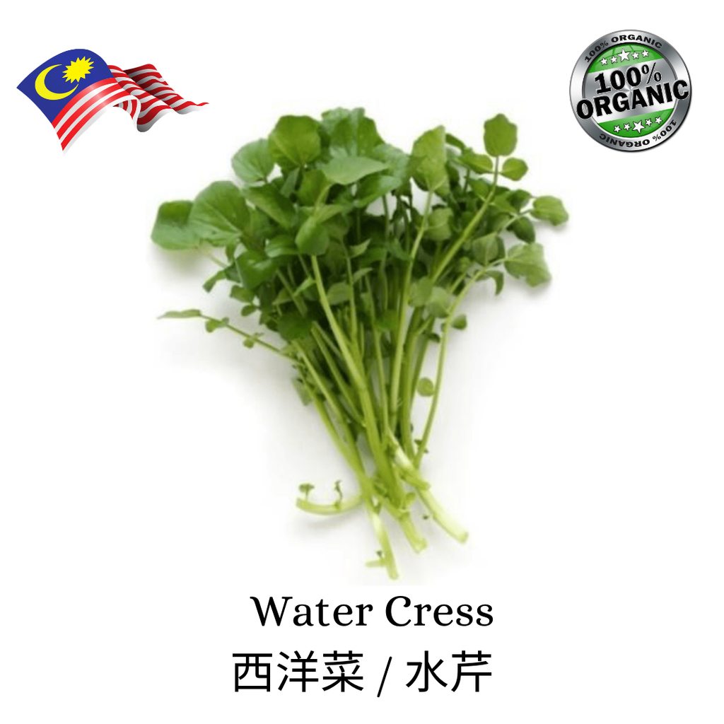Water Cress 西洋菜 水芹 250g Pkt Mama S Farm Store