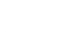 Bigboss韓國大老闆