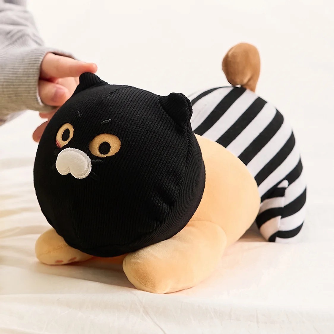 image_6F53B415-95C5-4AAC-8ADA-D03E8203D5B0_1769502915