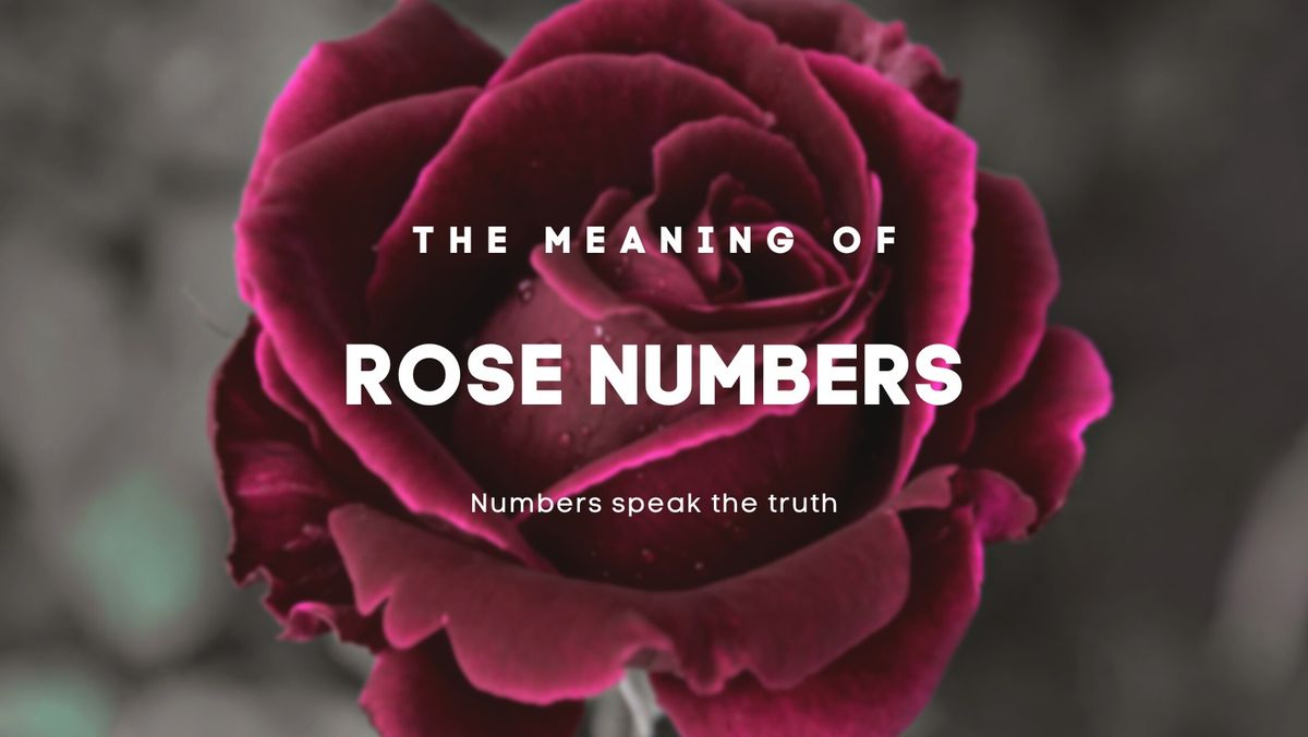 The Meaning of Roses Numbers